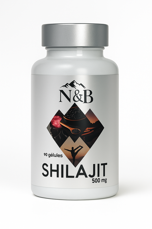 Shilajit Nature & Bien-Être - 90 gélule